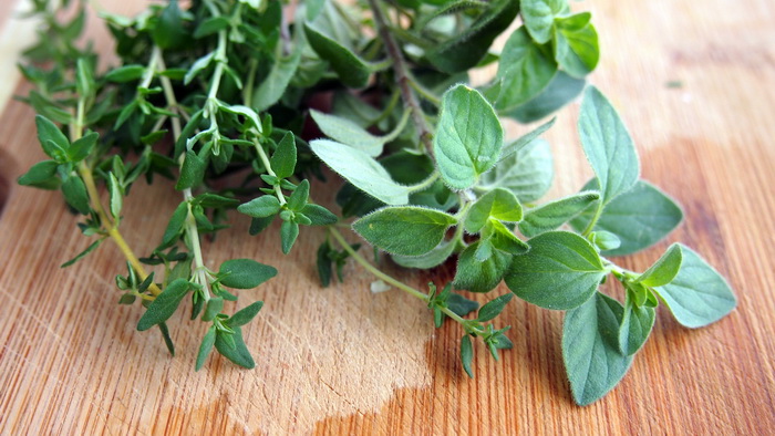 Природни лекови Oregano-1