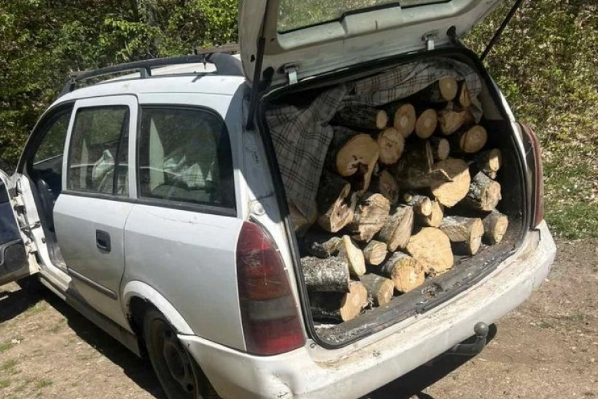 Уапсен дрвокрадец од скопско