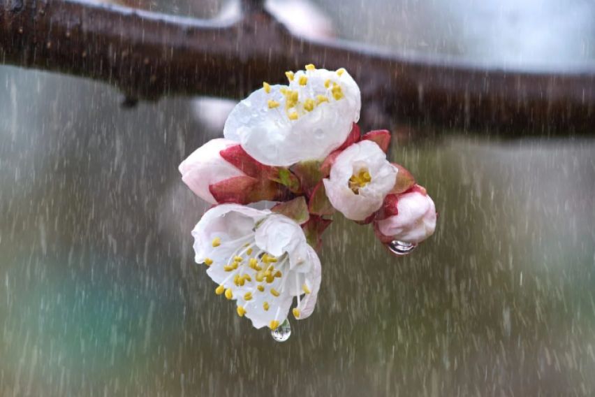 Следува период на променливо облачно и посвежо време