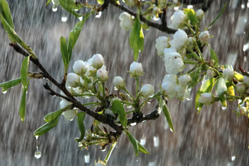 Променливо облачно со повремени локални врнежи од дожд