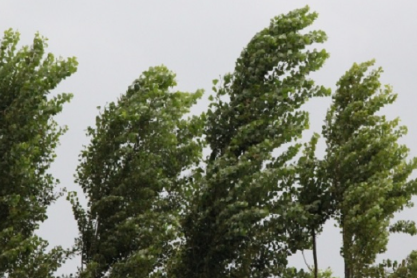 Сончево, но ветровито: Налети над 60 км на час долж Повардарието