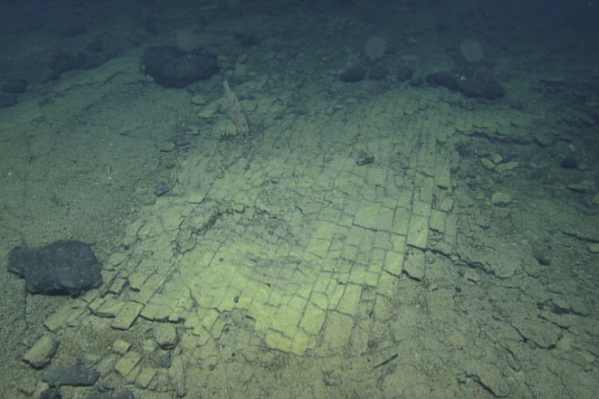 Пат до Атлантида? Научниците го открија потеклото на мистериозната формација на дното на океанот