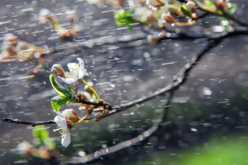 Променливо облачно со повремени локални врнежи од дожд, на планините од дожд и снег