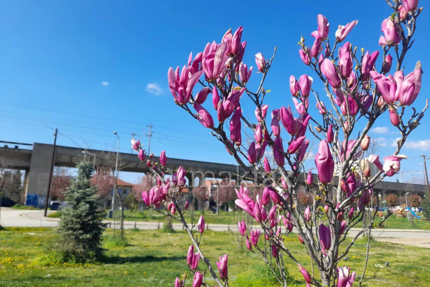 Сончево со мала до умерена локална облачност, попладне слаб дожд