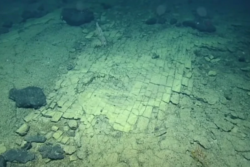 Научниците открија необична формација на дното на Тихиот Океан: „Се шегувате? Ова е лудо“