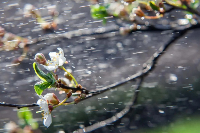 Времето утре – претежно облачно, претпладне во источните делови услови за слаб дожд