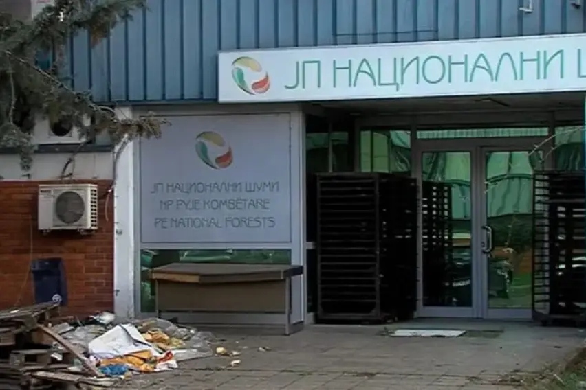 Кривична за поранешен директор на Национални шуми, на шест ф