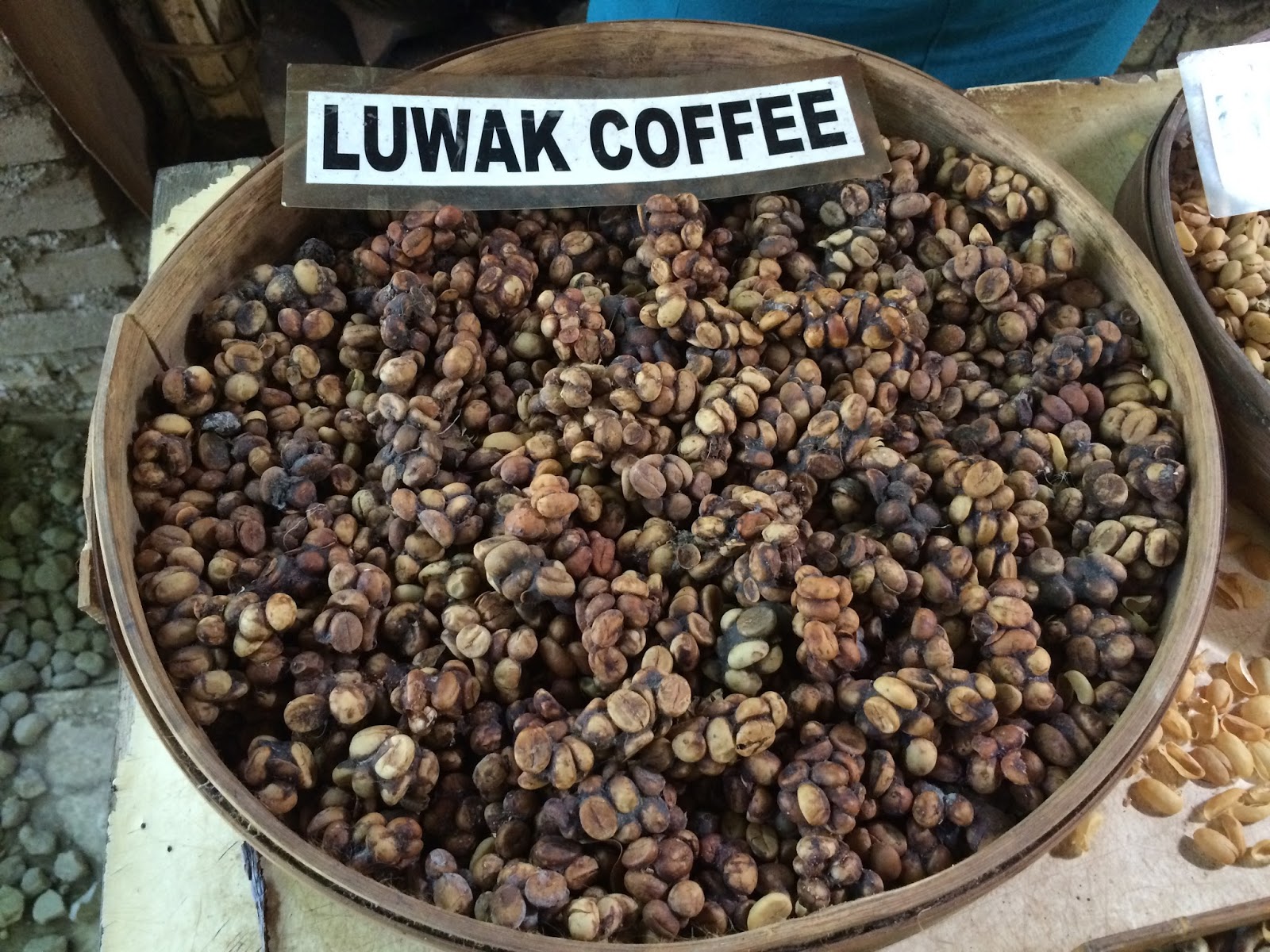 Самый дорогой кофе в мире цена. Сорт кофе копи Лювак. Копи Лювак зверек. Сорт кофе Лювак. Лювак Бали.