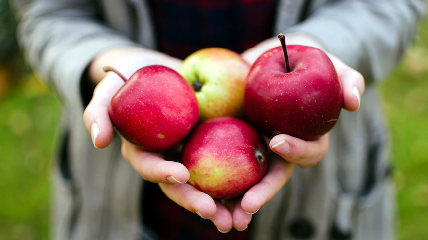 Овошје кое ги убива клетките на рак, го намалува ризикот од дијабетес и изобилува со витамин Ц
