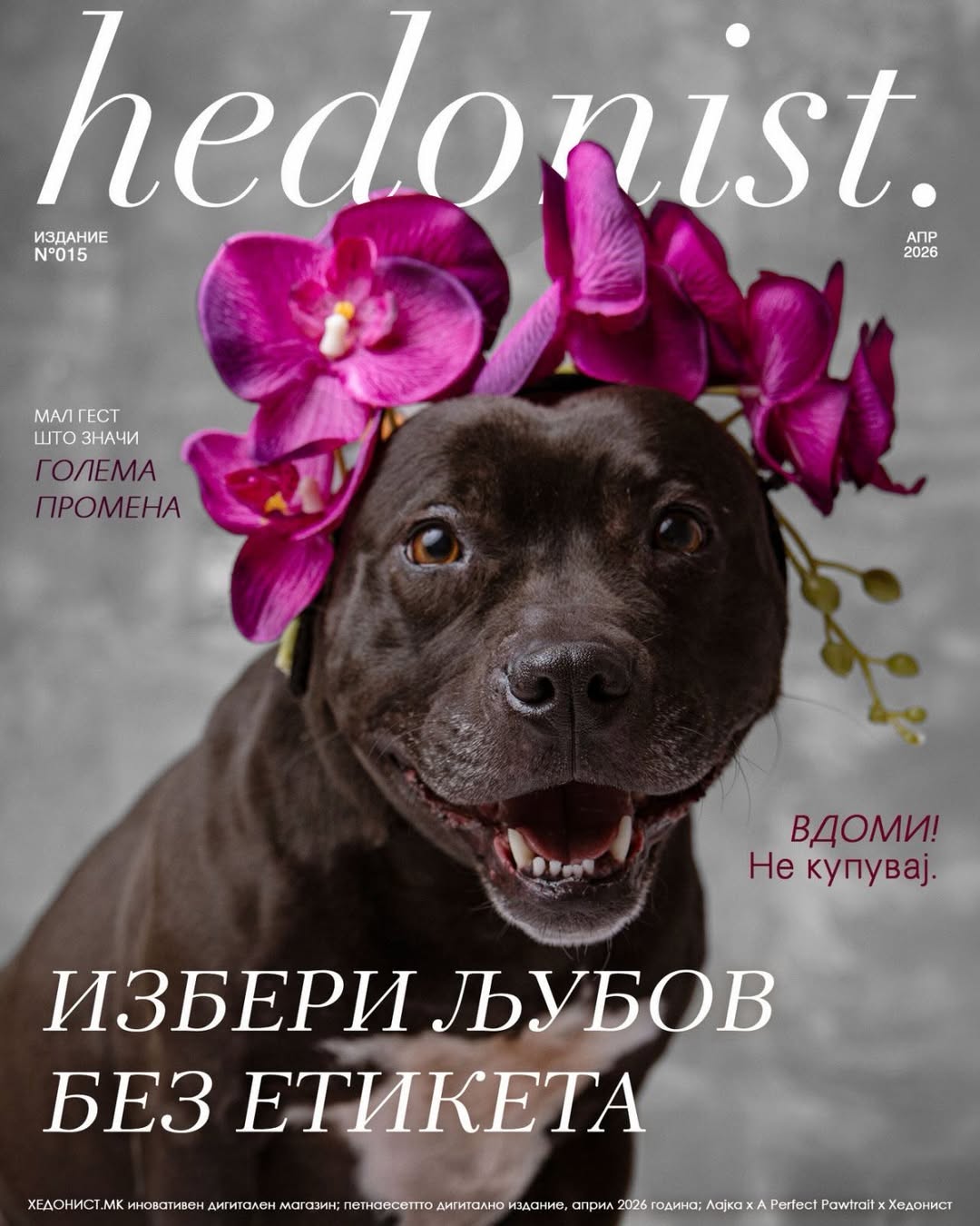 [ФОТО] „Избери љубов без етикета“: Дигиталниот магазин Хедонист направи прекрасна фотосесија со кучињата на ЈП Лајка