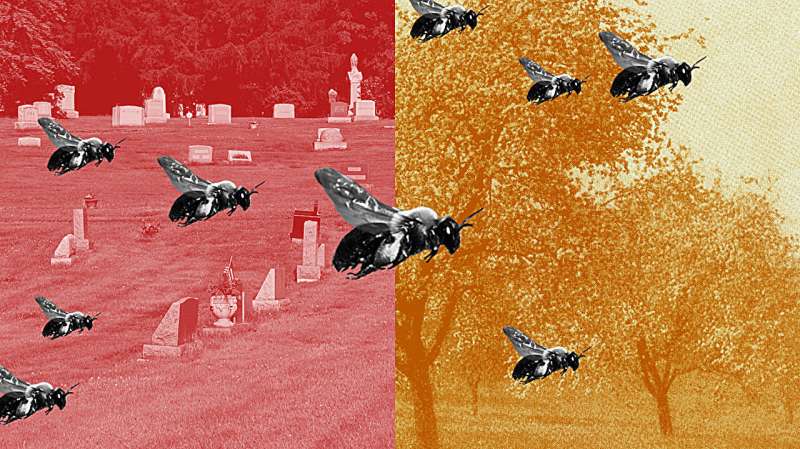 [ФОТО] Неверојатно откритие! Погледнете што е пронајдено под гробишта, биле 5,5 милиони: Формирале подземен „град“...